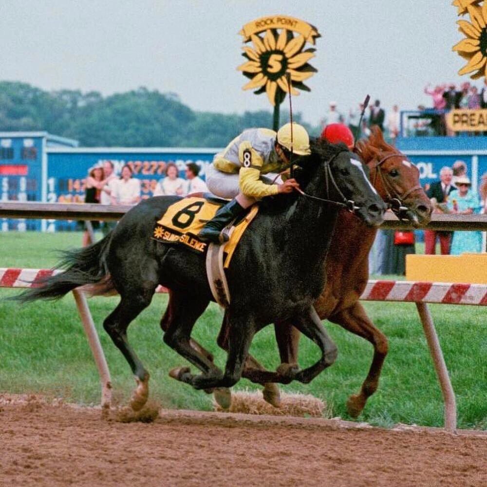 sunday-silence-easy-goer-and-the-race-of-a-lifetime